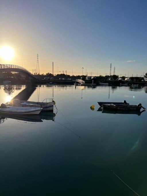 La Bodega Del Mar - Luminoso Y Centrico Apto Con Piscina En Verano Y Parking Эль-Пуэрто-де-Санта-Мария Экстерьер фото